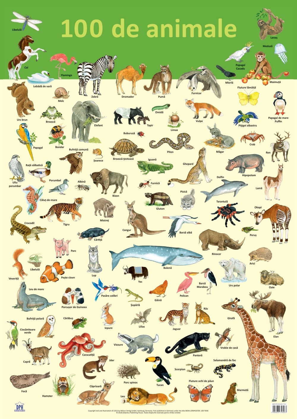 Carte Plansa 100 de animale autor Nelson Verlag editura Didactica Publishing House