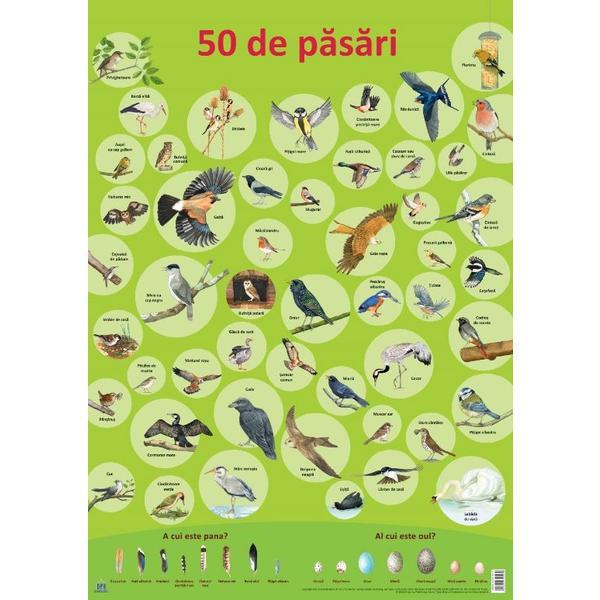 Carte Plansa: 50 de pasari