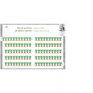 Carte Plansa A3 - Patrate perfecte si radacini patrate