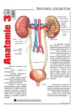 Carte Plansa Anatomie 3 editura Autor Anonim