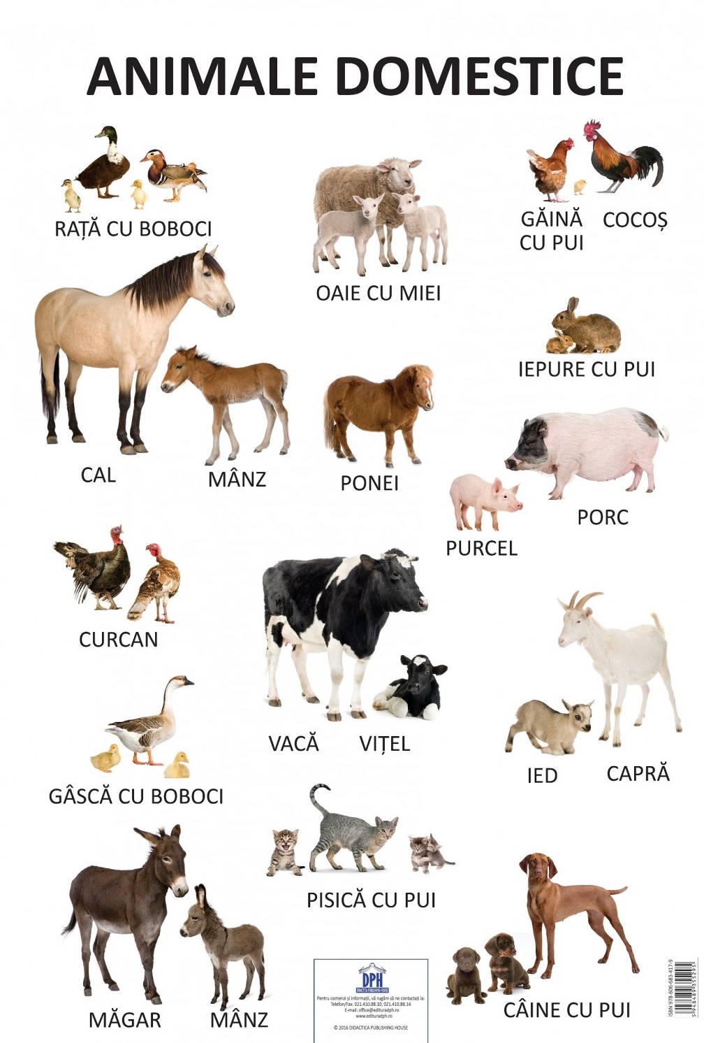 Carte Plansa Animale domestice   editura Didactica Publishing House