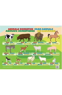 Carte Plansa Animale domestice editura Autor Anonim