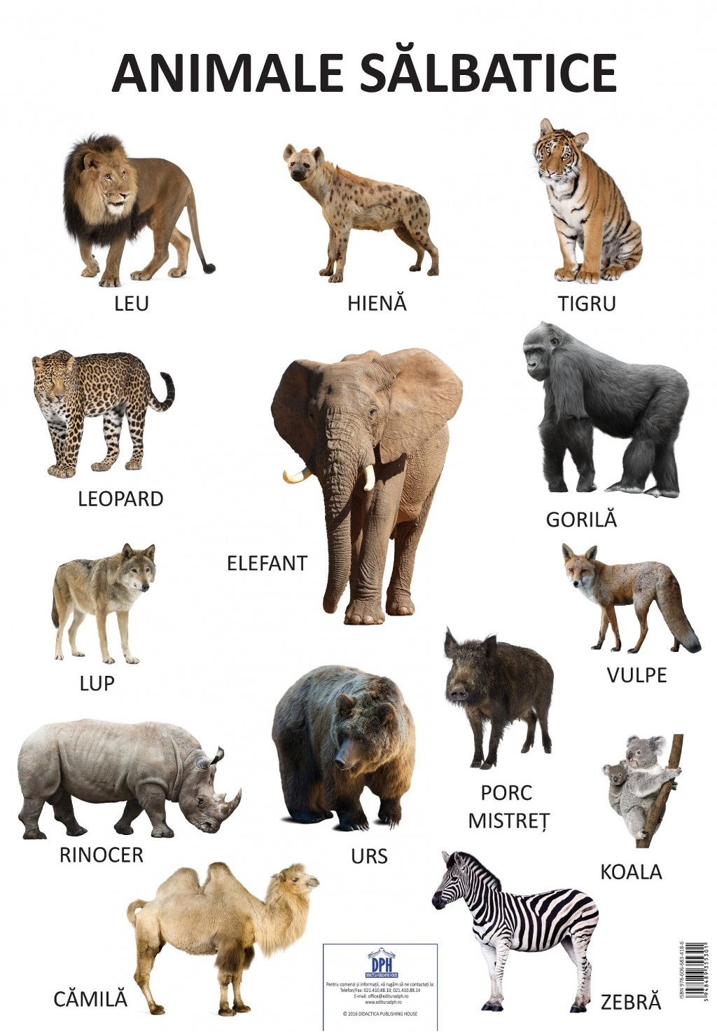 Carte Plansa Animale salbatice   editura Didactica Publishing House