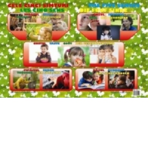 Carte Plansa Cele cinci simturi