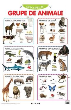 Carte Plansa: Descopera! Grupe de animale editura -