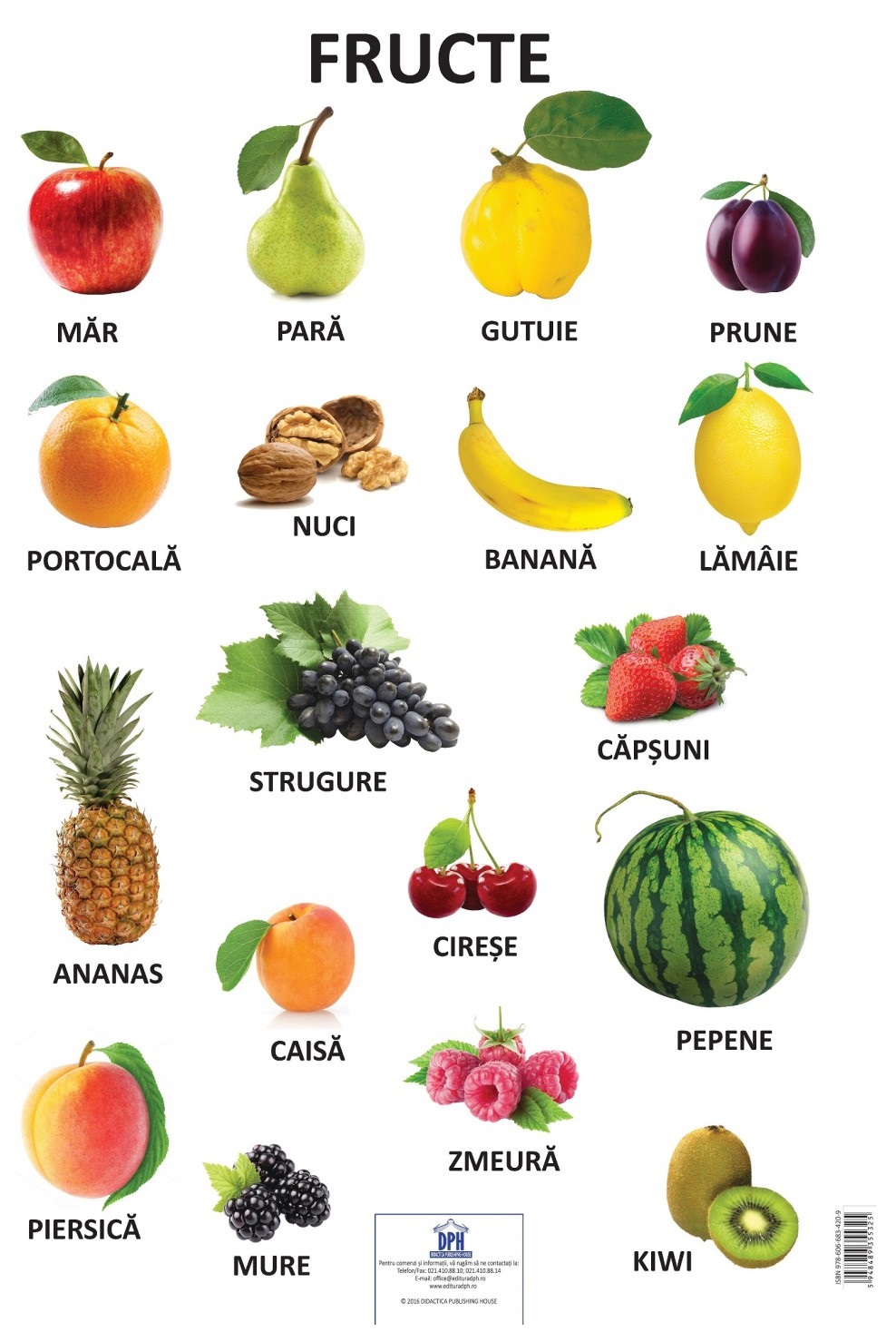 Carte Plansa Fructe   editura Didactica Publishing House