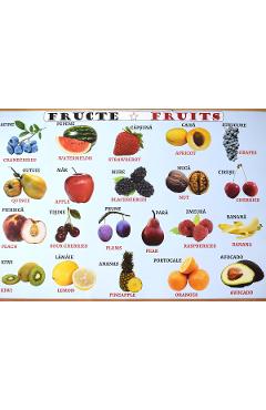 Carte Plansa: Fructe - Legume editura -