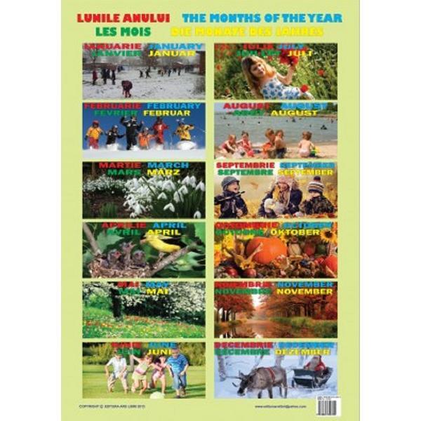 Carte Plansa Lunile Anului