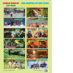 Carte Plansa Lunile anului