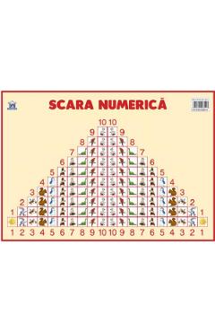 Carte Plansa: Scara numerica editura -