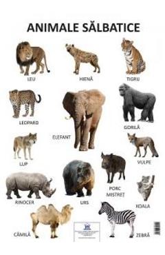 Carte Plansa animale salbatice editura -