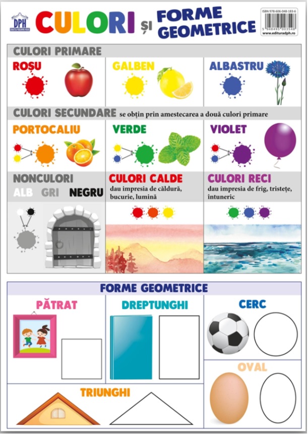 Carte Plansa culori si forme geometrice   editura Didactica Publishing House