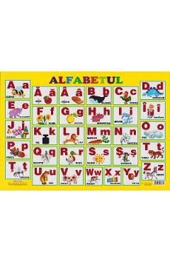 Carte Plansa. Alfabetul editura -