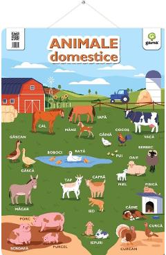 Carte Plansa. Animale domestice editura -