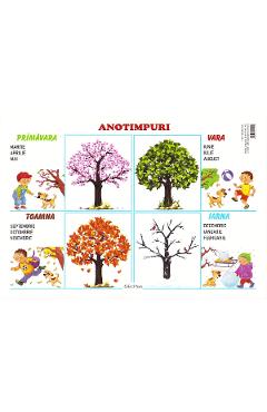 Carte Plansa. Anotimpuri editura -