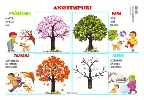 Carte Plansa. Anotimpuri editura Erc Press