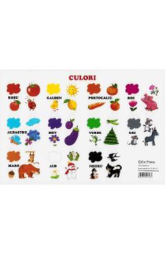 Carte Plansa. Culori editura -