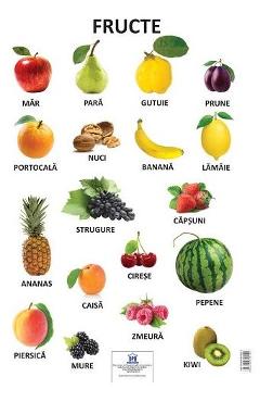 Carte Plansa. Fructe editura -