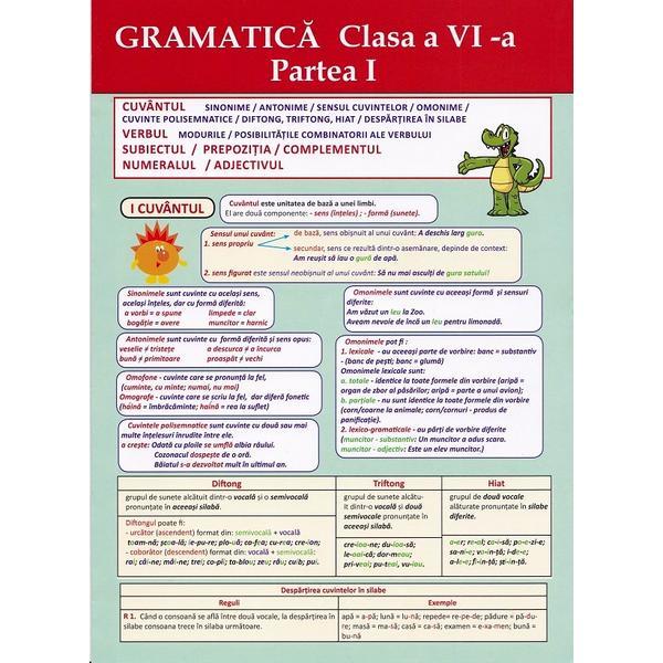 Carte Plansa. Gramatica - Clasa 6 Partea 1