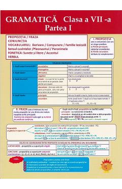 Carte Plansa. Gramatica - Clasa 7 Partea 1 editura -