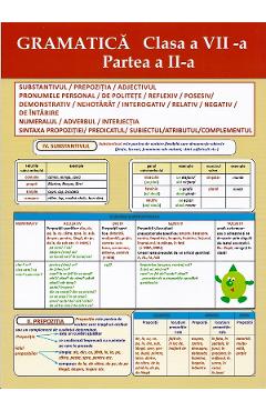 Carte Plansa. Gramatica - Clasa 7 Partea 2 editura -