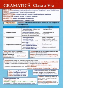 Carte Plansa. Gramatica - Clasa a V-a