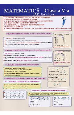 Carte Plansa. Matematica - Clasa 5 Partea 2 editura -
