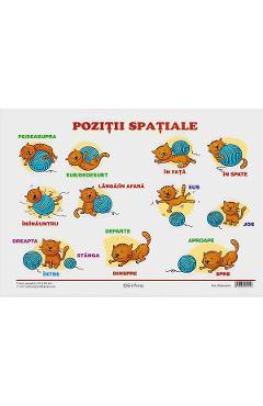 Carte Plansa. Pozitii spatiale editura -