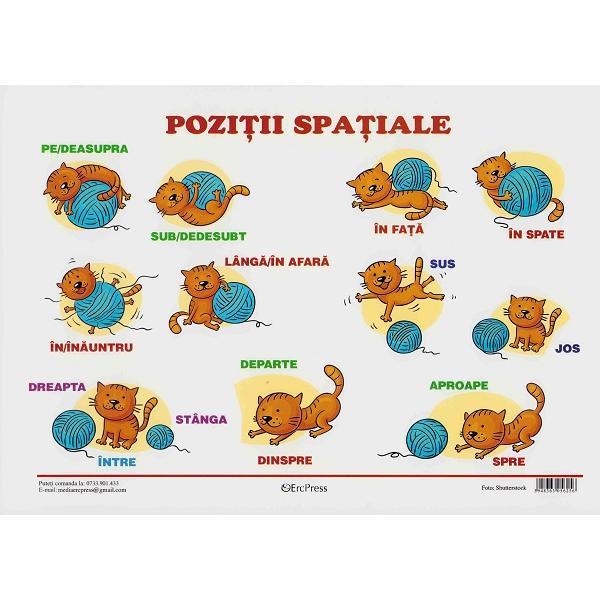 Carte Plansa. Pozitii spatiale