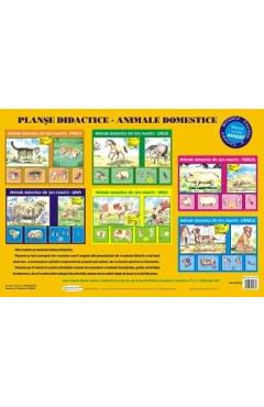 Carte Planse: Animale domestice editura -
