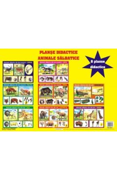 Carte Planse: Animale salbatice editura -