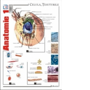 Carte Pliant Anatomie 1