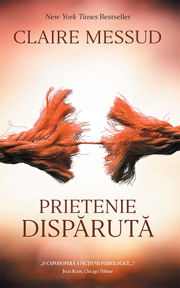Carte Prietenie dispărută editura Rao