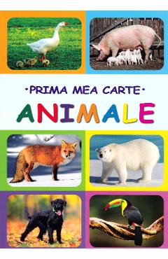 Carte Prima mea carte: Animale editura -