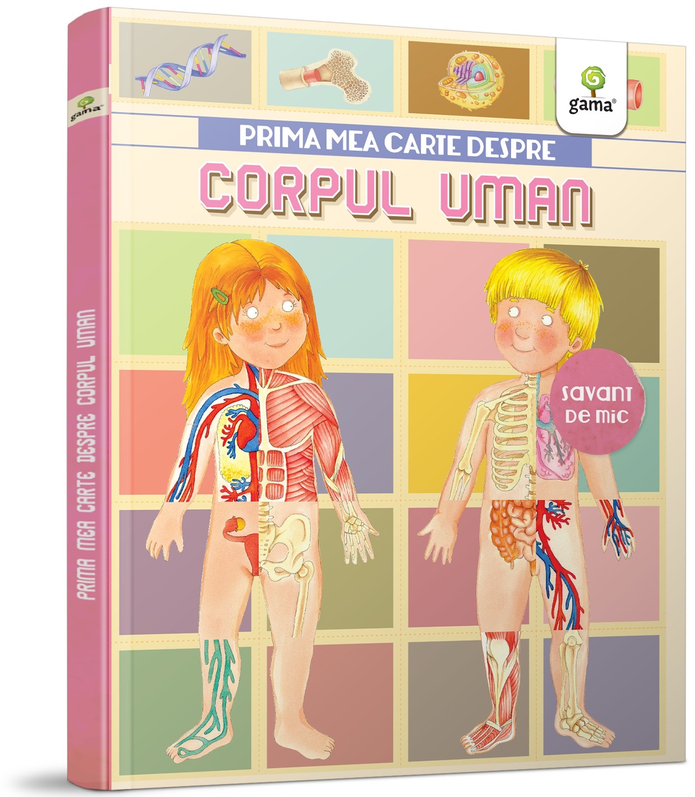 Carte Prima mea carte despre corpul uman   editura Gama