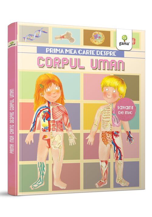 Carte Prima mea carte despre corpul uman editura Gama