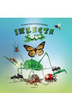 Carte Prima mea enciclopedie: Insecte editura -