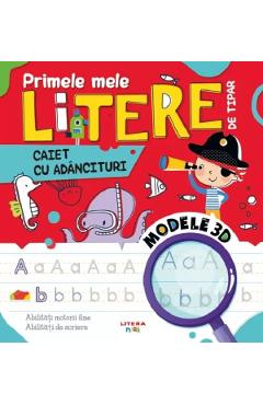 Carte Primele mele litere de tipar. Caiet cu adancituri editura -
