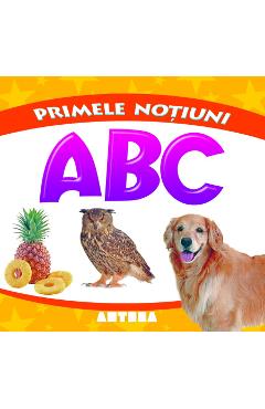 Carte Primele notiuni: ABC editura -
