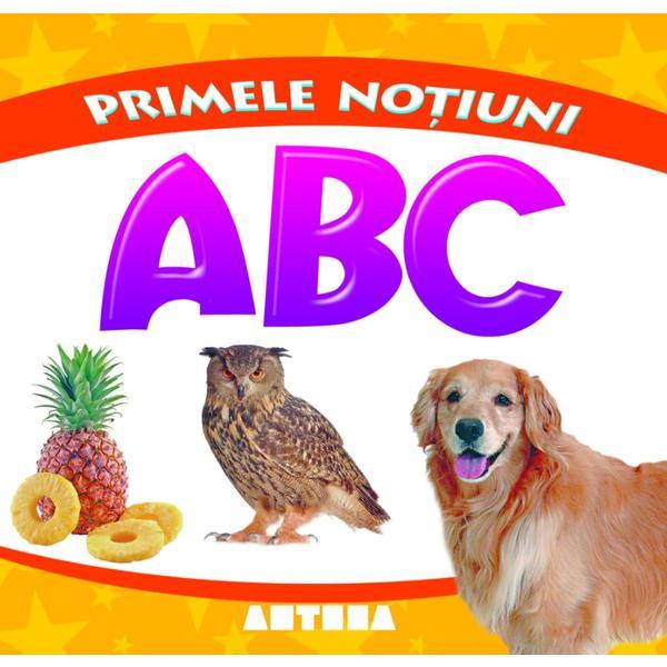 Carte Primele notiuni: ABC