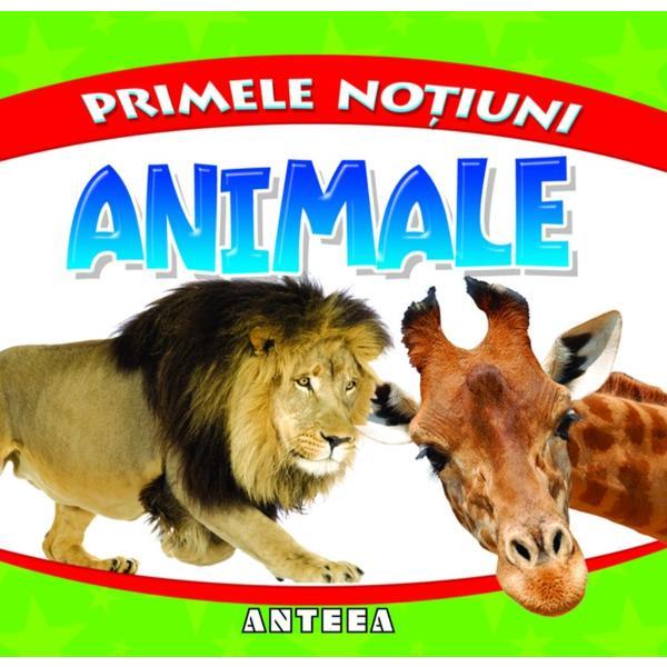 Carte Primele notiuni: Animale