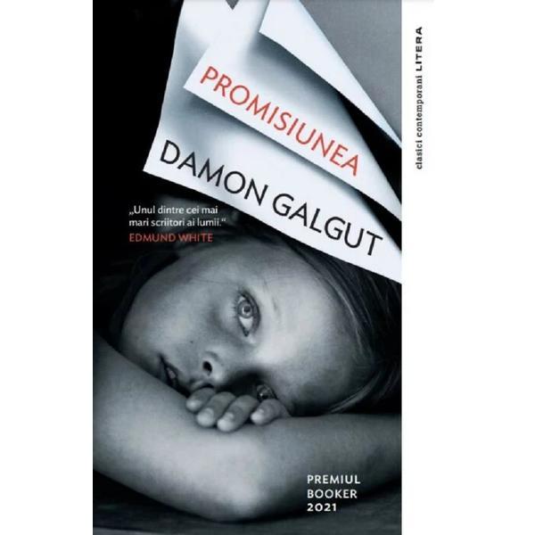 Carte Promisiunea - Damon Galgut