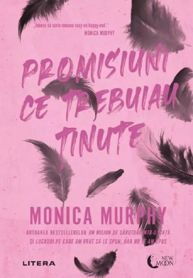 Carte Promisiuni ce trebuiau tinute editura Litera