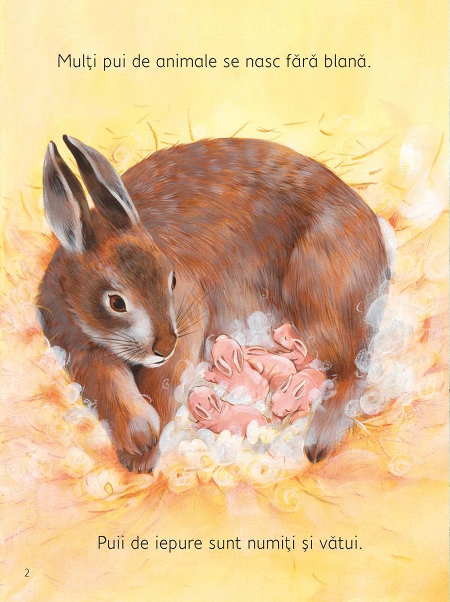 Carte Pui de animale   editura Univers Enciclopedic