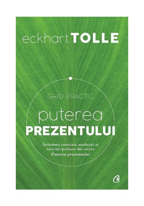 Carte Puterea prezentului. Ghid practic editura Curtea Veche