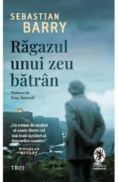 Carte Ragazul unui zeu batran - Sebastian Barry editura Sebastian Barry