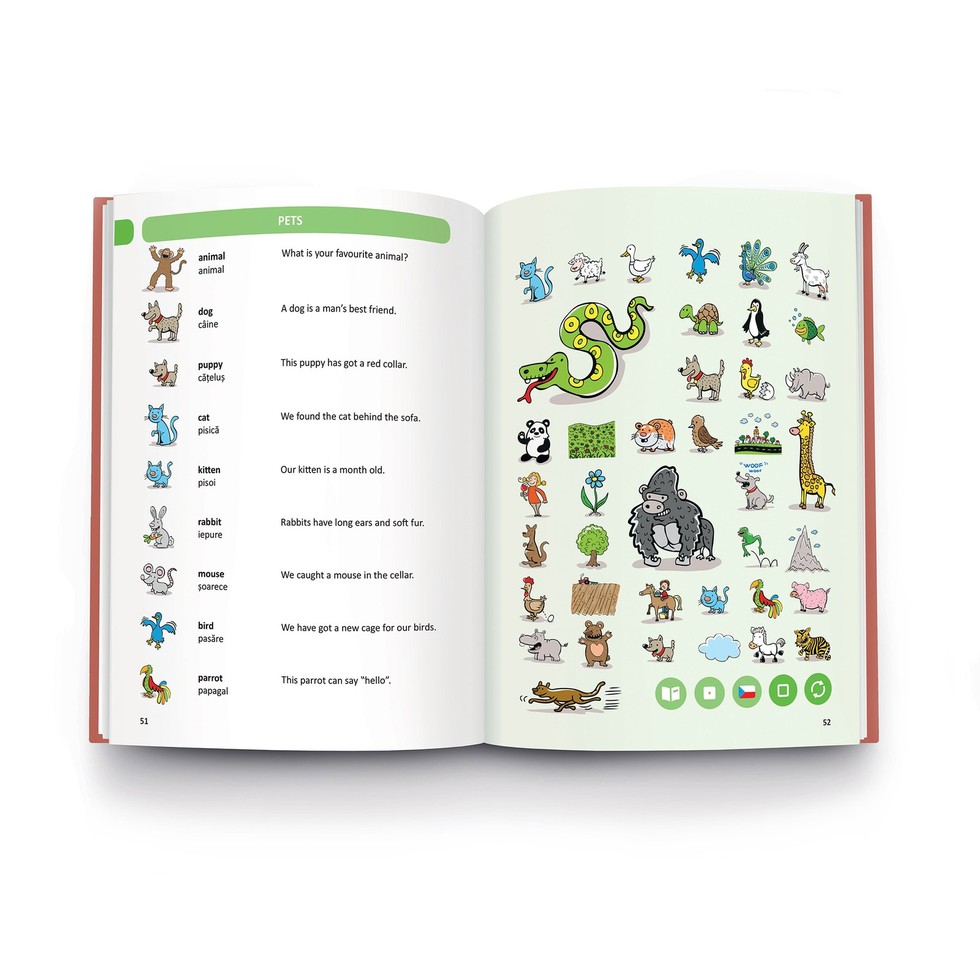 Carte Raspundel Istetel. Dictionar interactiv Englez-Roman autor Zuzana Rousova