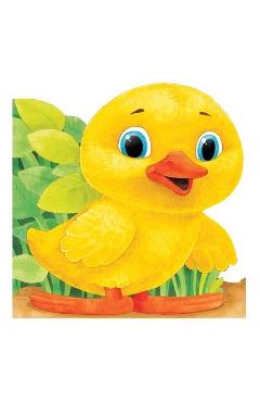 Carte Ratusca - Primii pasi editura -