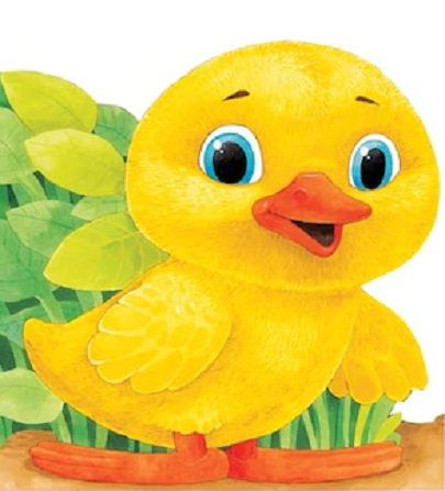 Carte Ratusca - Primii pasi autor Scobioala Aurel editura Prut