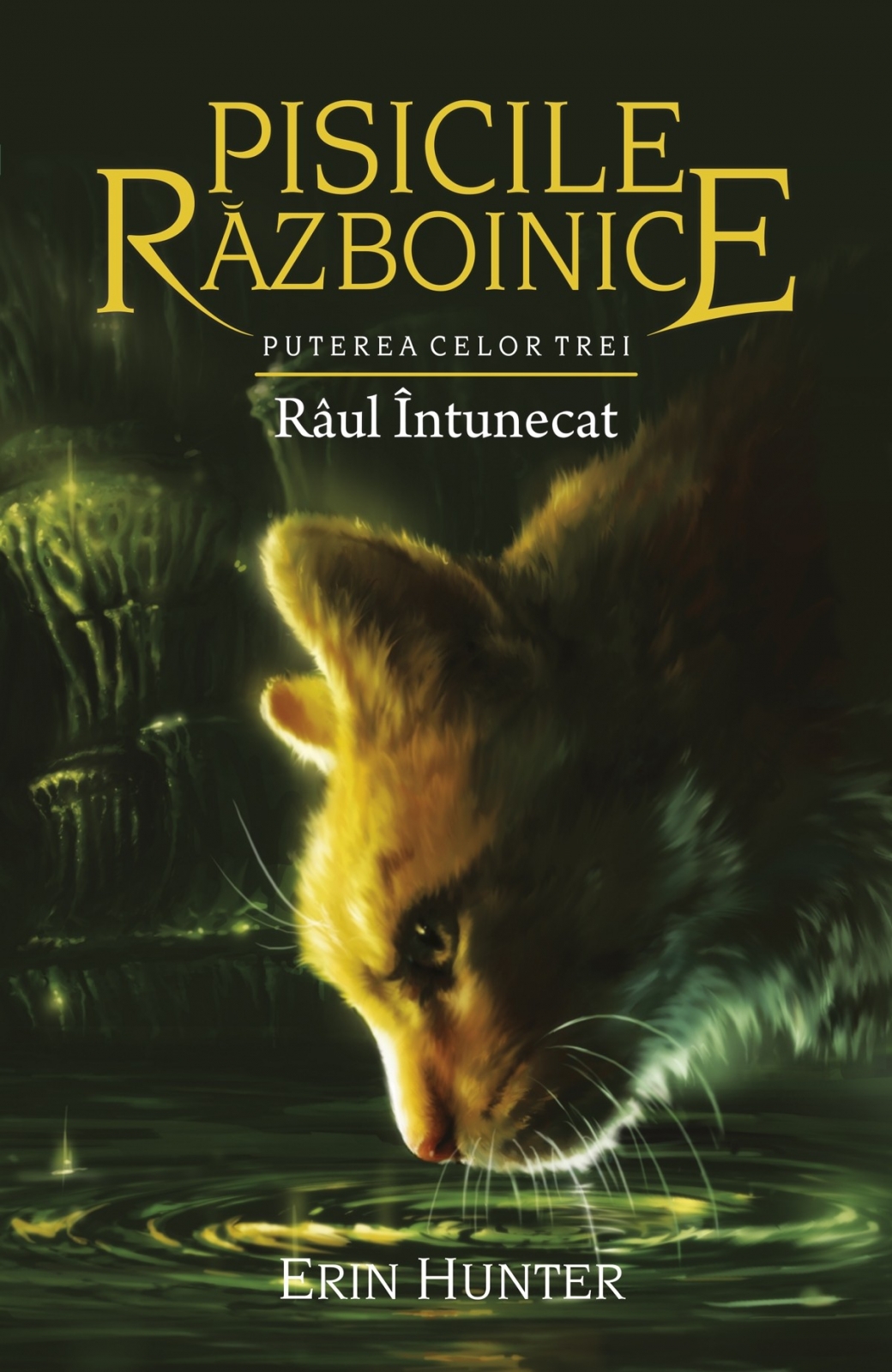 Carte Raul intunecat autor Erin Hunter editura ALL